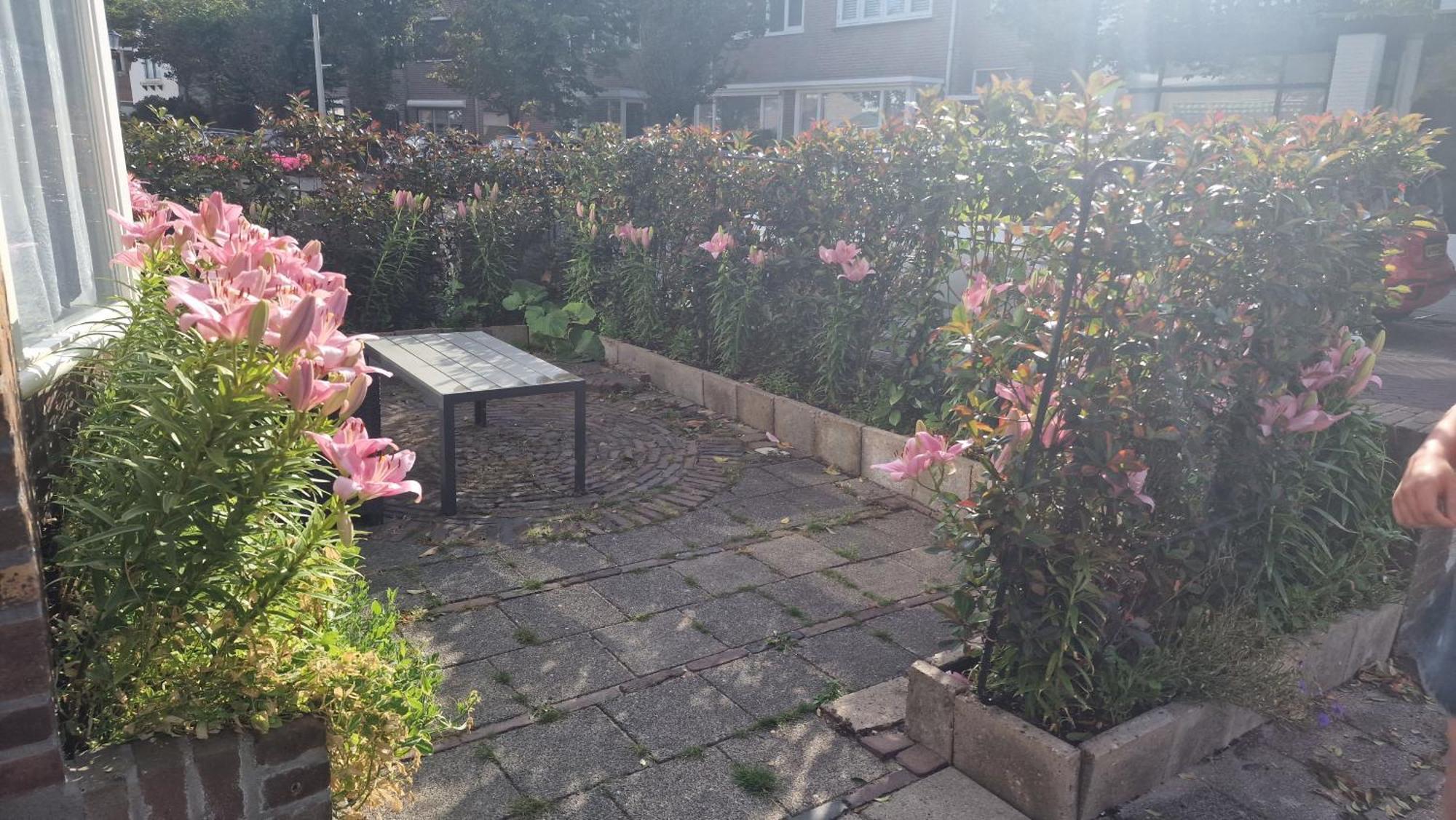 Guesthouse Zandvoort Εξωτερικό φωτογραφία