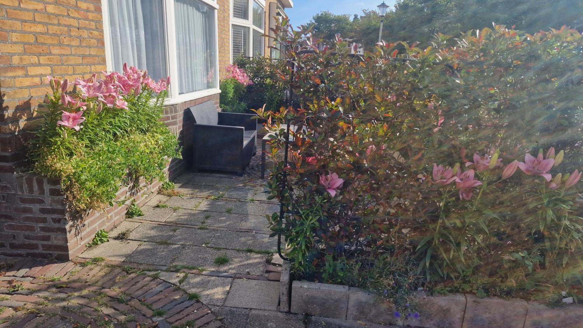 Guesthouse Zandvoort Εξωτερικό φωτογραφία